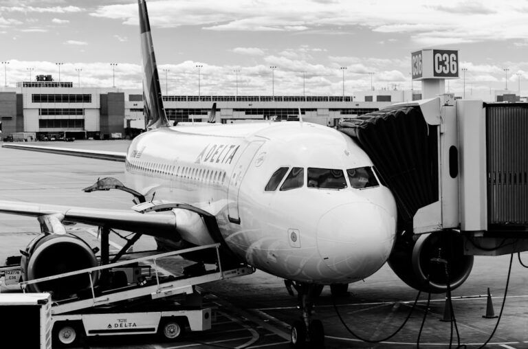 Voyageurs et bagages cabine dans un aéroport
