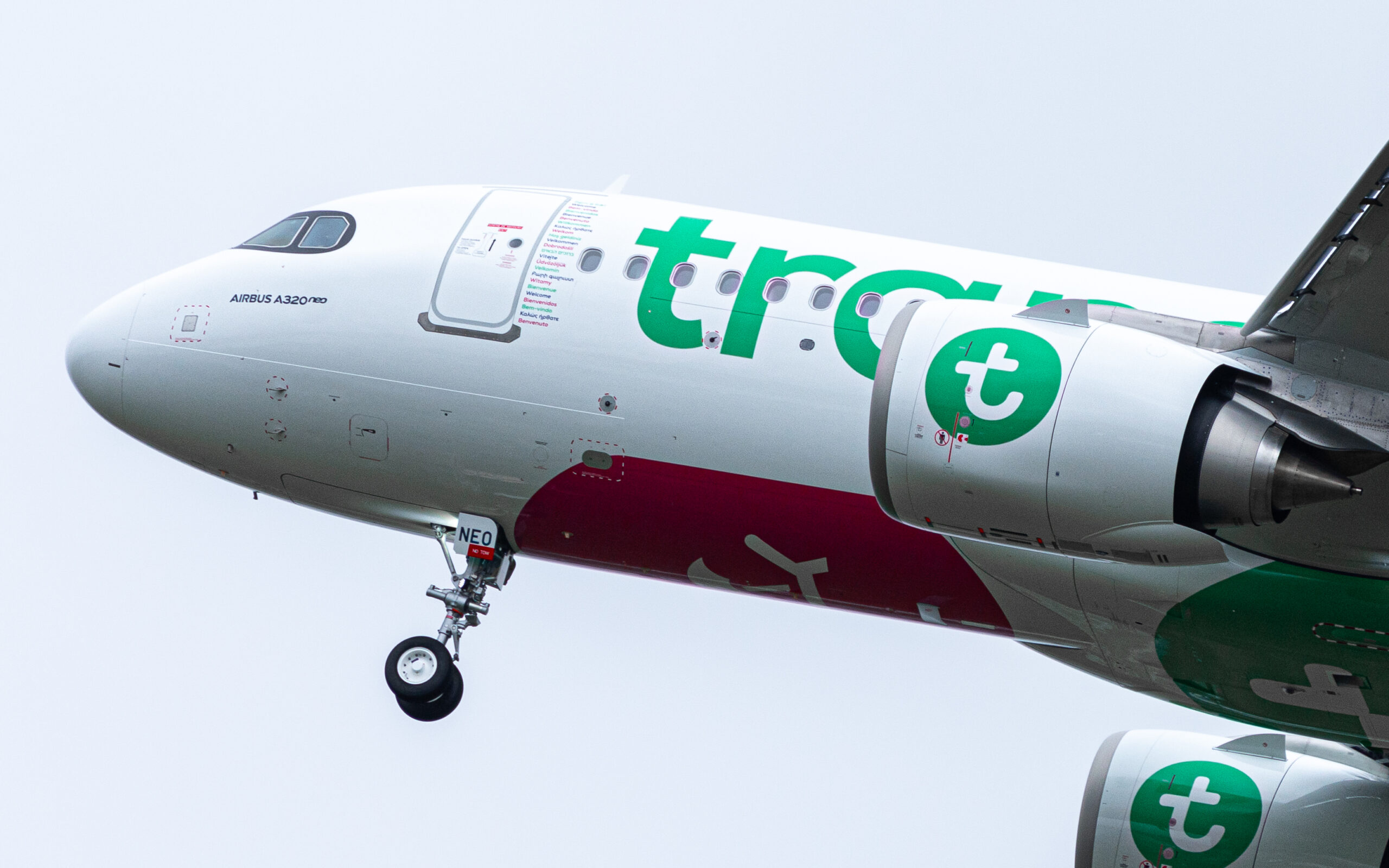 Enquête : Transavia France, la low-cost qui prend le relais d’Air France à Orly