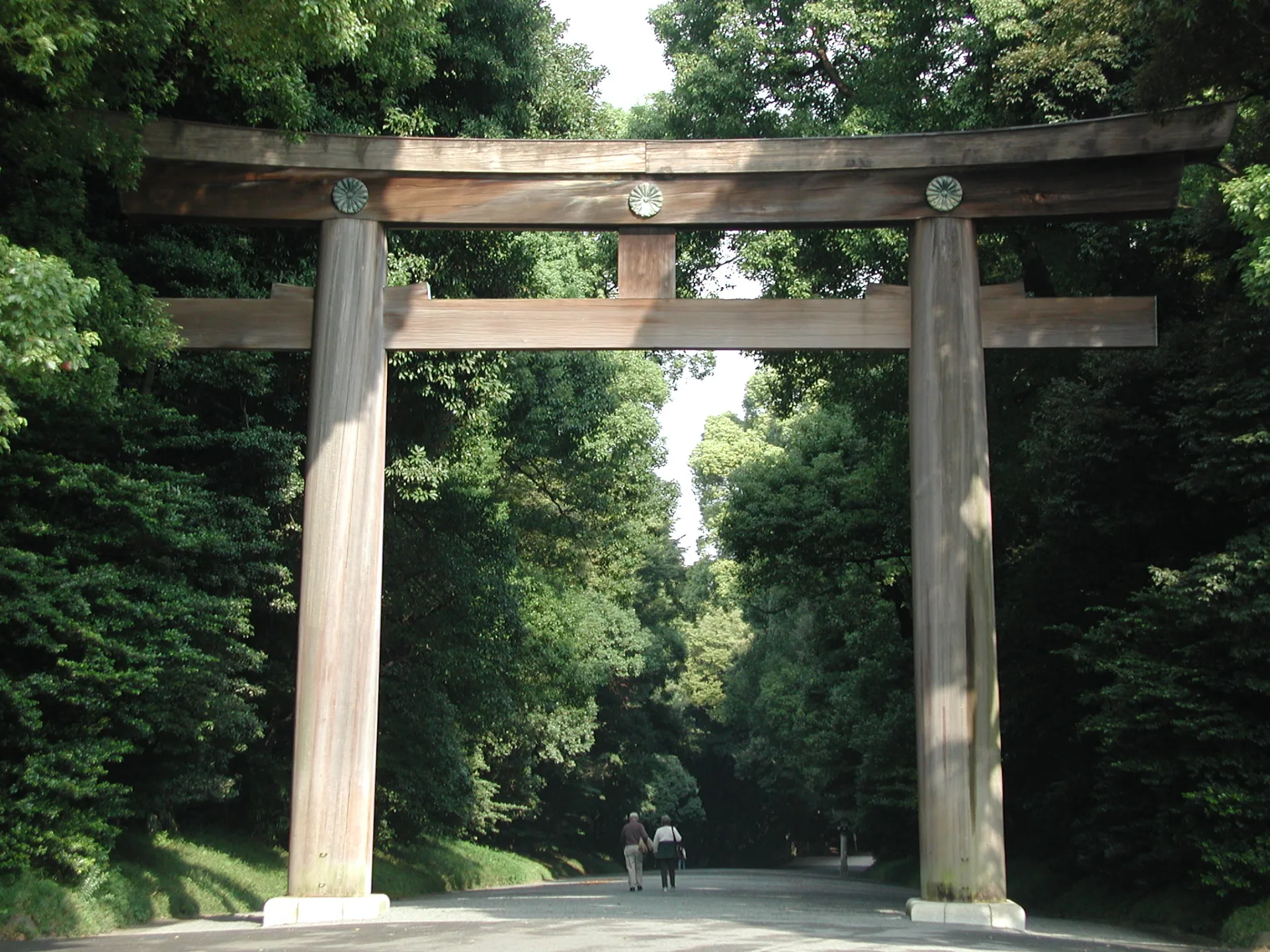 Grand torii de Meiji-jingū dans la forêt de Tokyo